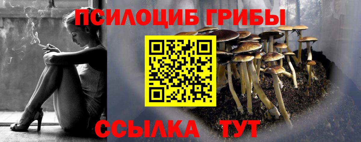 Псилоцибиновые грибы мухоморы  Вход с VPN  Джанкой  Псилоцибиновые грибы MAGIC MUSHROOMS 