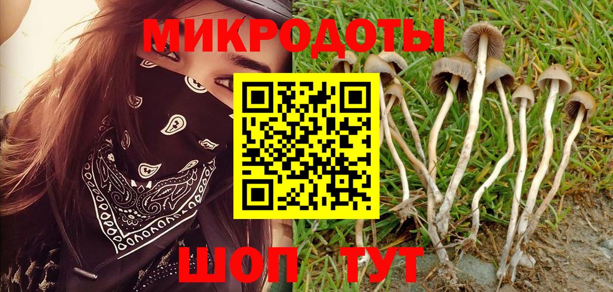 Галлюциногенные грибы мицелий Джанкой